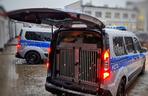 Ford Transit Connect dla policjantów w Łomży