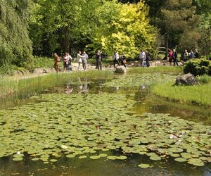 Arboretum w Rogowie