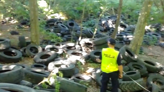 Ogromne składowisko opon w lesie. Sprawą zajęła się prokuratura [WIDEO]