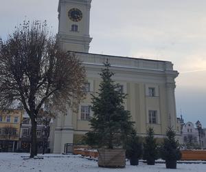 Rynek jednak z choinką