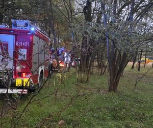 Mężczyzna został ranny podczas wycinki drzew