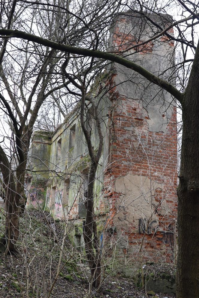 Spacer doliną Bystrzycy na lubelskim Wrotkowie