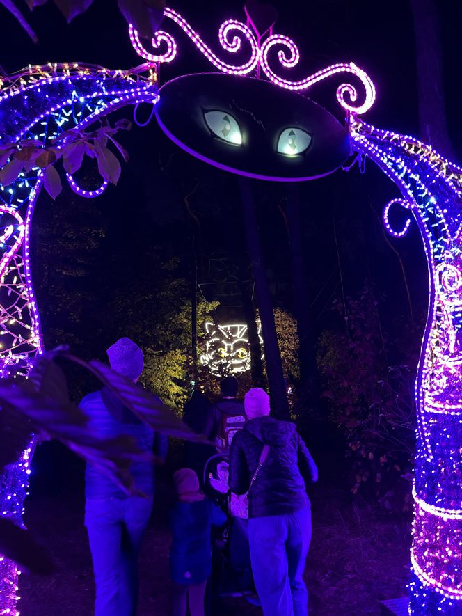 Lumina Park Poznań w święta 