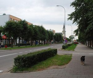 7. Hajnówka