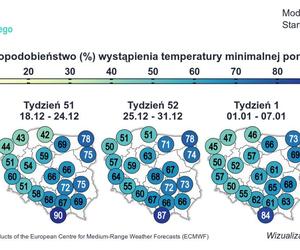 Prognoza pogody na grudzień i styczeń