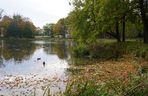 Park Lubomirskich w Białymstoku jesienią 