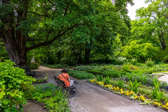 7 najładniejszych ogrodów botanicznych w Polsce. Kiedy je odwiedzić i gdzie są?