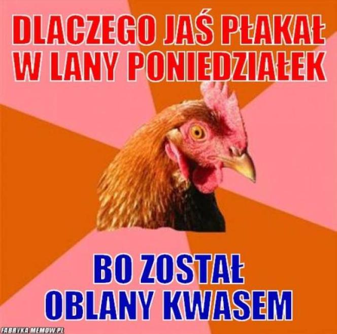Śmigus-dyngus 2022. Zobacz najlepsze MEMY na LANY PONIEDZIAŁEK! [GALERIA]