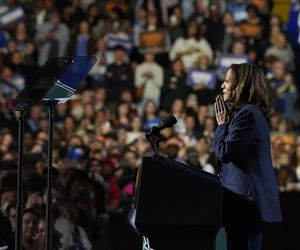 Polacy mają wyraźnego faworyta! Trump czy Kamala Harris? Wszystko jasne