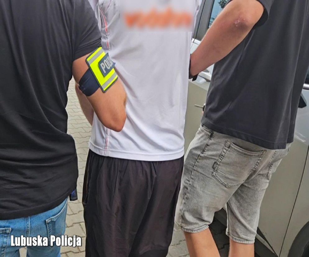 Nożownik z Górek Noteckich z zarzutami. Grozi mu dożywocie