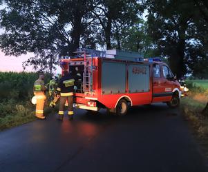 Wielkopolskie. Mercedes uderzył w drzewo! 26-letni pasażer nie żyje! 