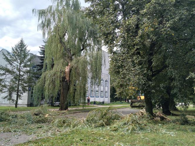 Działania zamojskich strażaków po nawałnicy