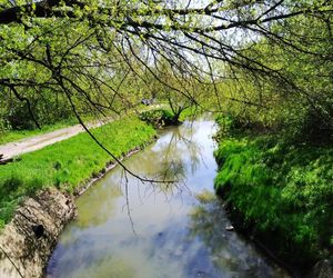  Co dalej z Parkiem Kulturowym Stary Radom? Miasto będzie składało wniosek o pieniądze z funduszy europejskich 