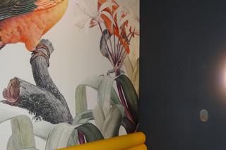 Kakadu karaoke & bar 