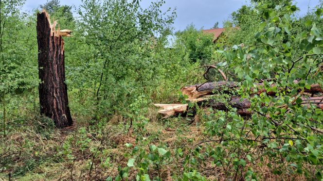 Skutki nawałnic w powiatach brzeskim i tarnowskim z 7 lipca 2025 roku