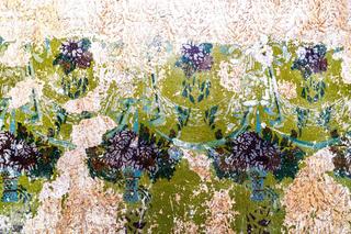 Odkrycie w kamienicy na Pradze