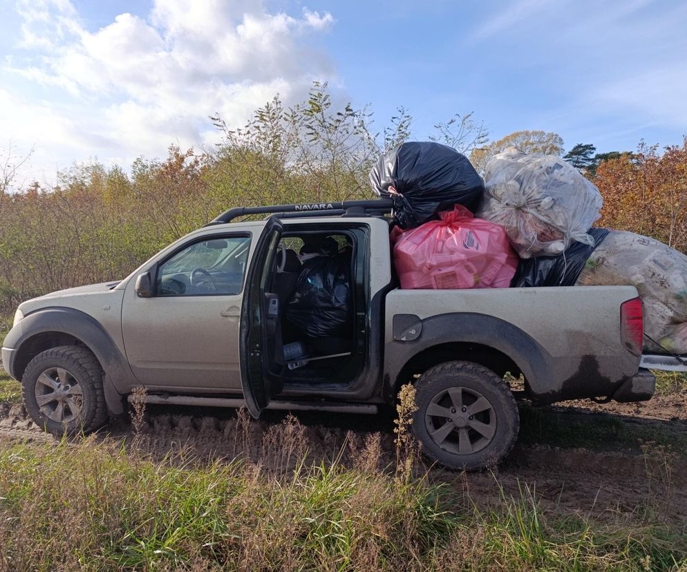Trucizna ukryta w lesie. Leśnicy wściekli po odkryciu makabrycznego znaleziska