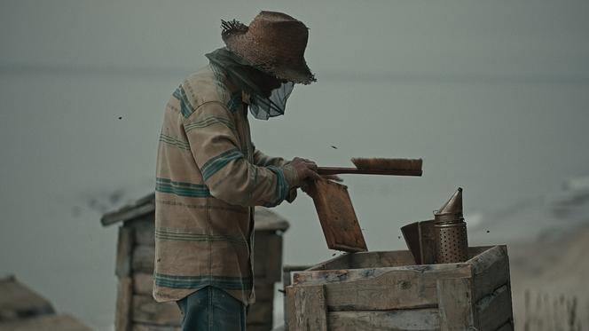 Tak powstawał film "Rój" 