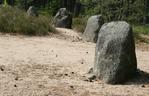 Rezerwat Archeologiczny - Kręgi Kamienne w Grzybnicy