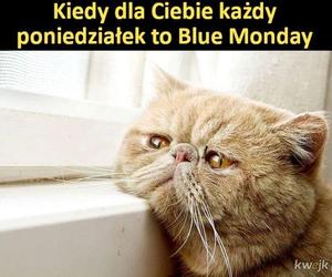 Najlepsze memy o Blue Monday