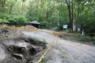 Rowerem z okolic Ślęży do Świnoujścia. Mieszkaniec Sobótki walczy z wycinką drzew