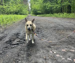 I Spacer Śladami Kliforda w Grudziądzu