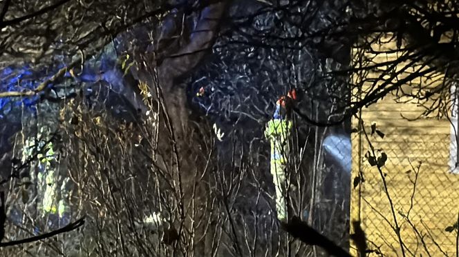 Tragedia na terenie ogródków działkowych. Altanka stanęła w ogniu. W srodku znaleźli zwęglone ciało