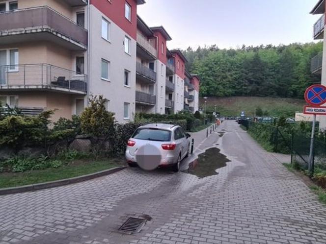"To nie moja wina, że mam duży samochód". Winne auto, nie kierowca? [ZDJĘCIA]