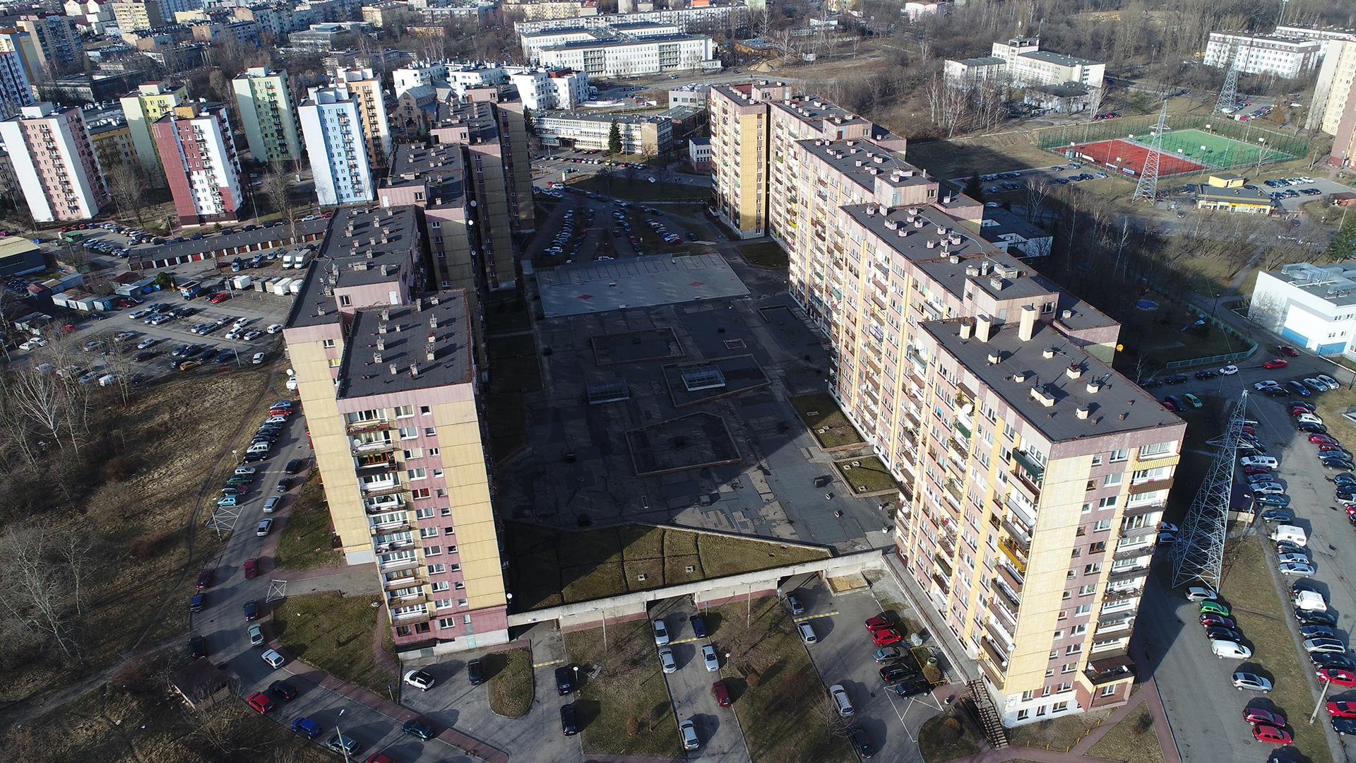 Dach nasz pospolity, dron_1
