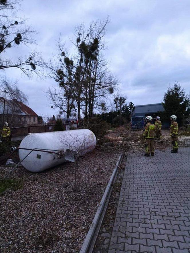 Drzewa na samochodach, zerwane dachy, brak prądu. Skutki wichury w Toruniu i okolicach