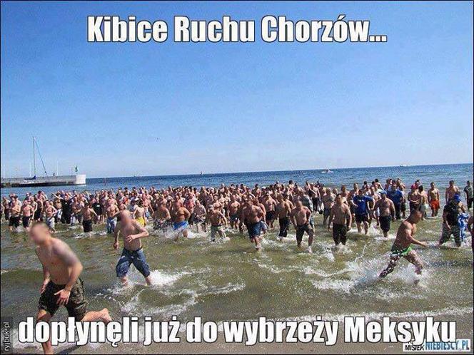 Kibice