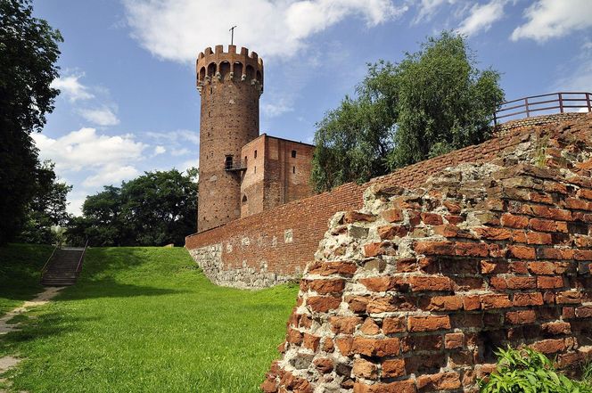 Zamek w Świeciu