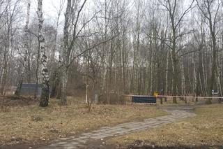 Modernizacja Parku Zielona w Dąbrowie Górniczej