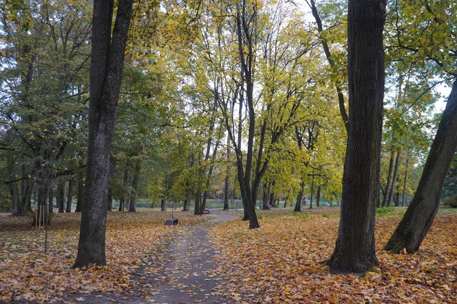 Park Lubomirskich w Białymstoku jesienią 