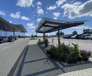 Zazieleniony teren parkingu i pasażu przed terminalami Katowice Airport