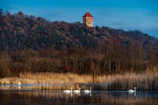 Zamek Melsztyn po 250 latach odzyskał wieżę. Jaka jest jego historia?