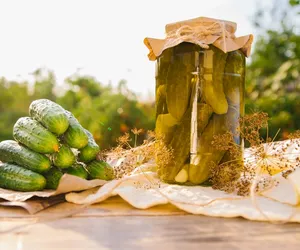 Ogórki kiszone z czasów Wyspiańskiego. Ten przepis był hitem w 1895 roku