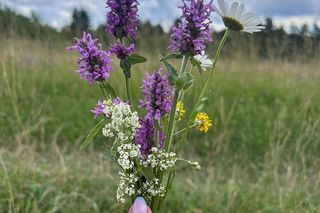 Marta Nawrocka na spacerze z córką i mężem
