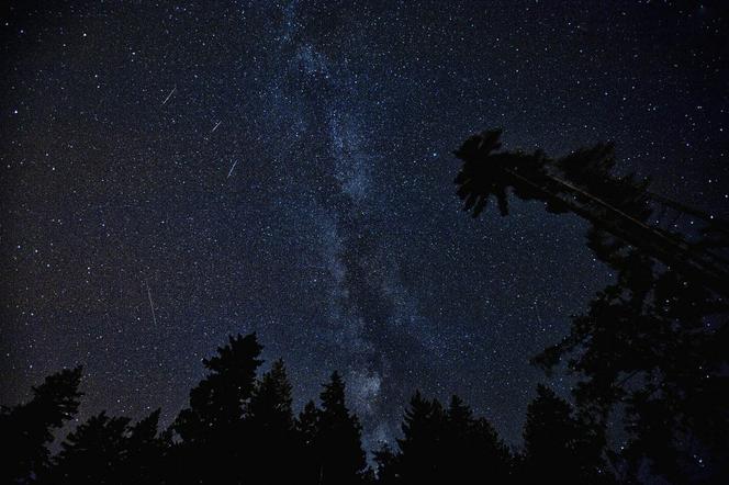 We Fromborku rozpoczęły się Spotkania z Perseidami