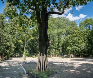 Rewitalizacja parku Bronowickiego w lublinie - postęp prac na koniec lipca 2025