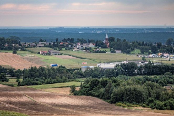 zdjęcie poglądowe