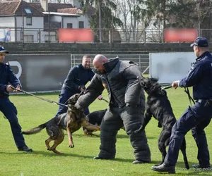 150 policjantów ćwiczyło zabezpieczenie imprez masowych na elbląskim stadionie