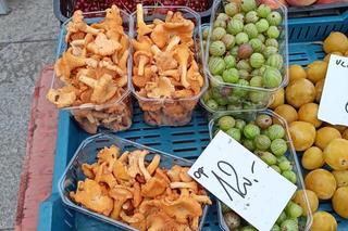 Ile kosztują kurki w Poznaniu?