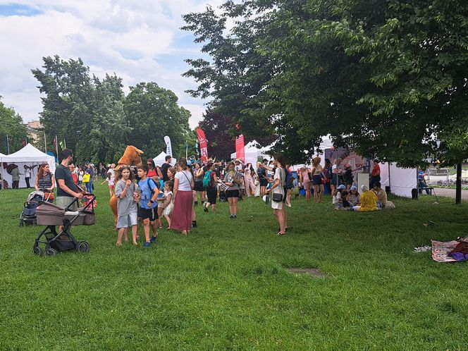 Smoczy Piknik Rodzinny 2025 w Krakowie
