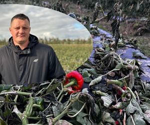 Maciej Siekiera, rolnik z Gałkowic, w szoku po akcji. 60 ton papryki rozdane w dwa dni!