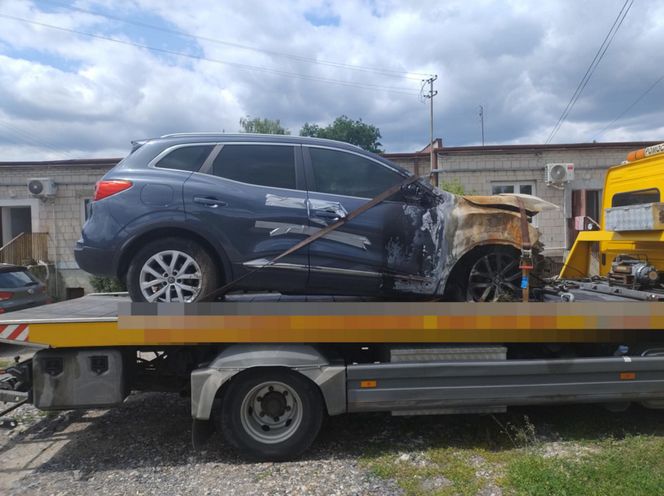 Galeria: „Kobra” znowu w akcji. Odzyskali luksusowe auta skradzione z Hiszpanii i Szwecji