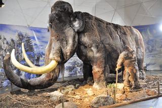 Jaskinia Raj - jedna z największych atrakcji turystycznych w Świętokrzyskiem