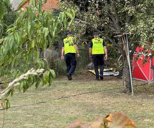 Wypadek awionetki w Krzycku Wielkim