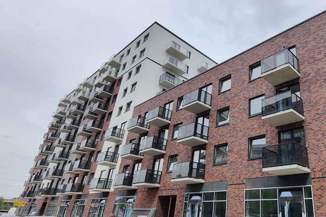 Port Popowice we Wrocławiu - kolejny etap w budowie