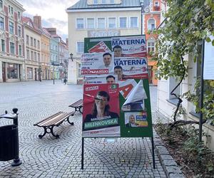 Wybory 2023 w Zielonej Górze. Miasto zalały plakaty wyborcze